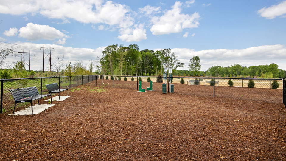 Wilson's Ridge Dog Park