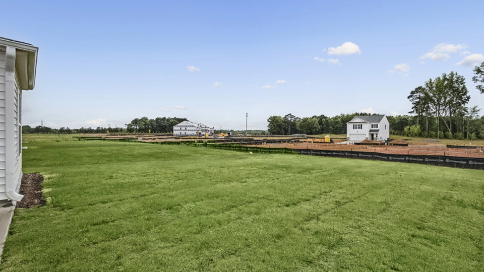 Darwin back exterior