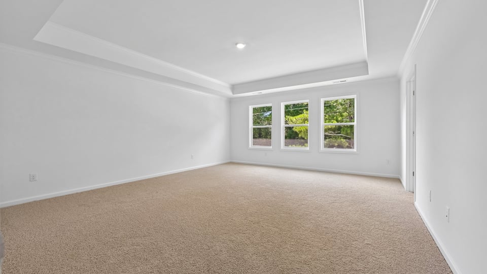 primary bedroom with carpet flooring and tray ceiling
