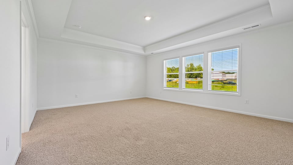 primary bedroom with carpet flooring and tray ceiling