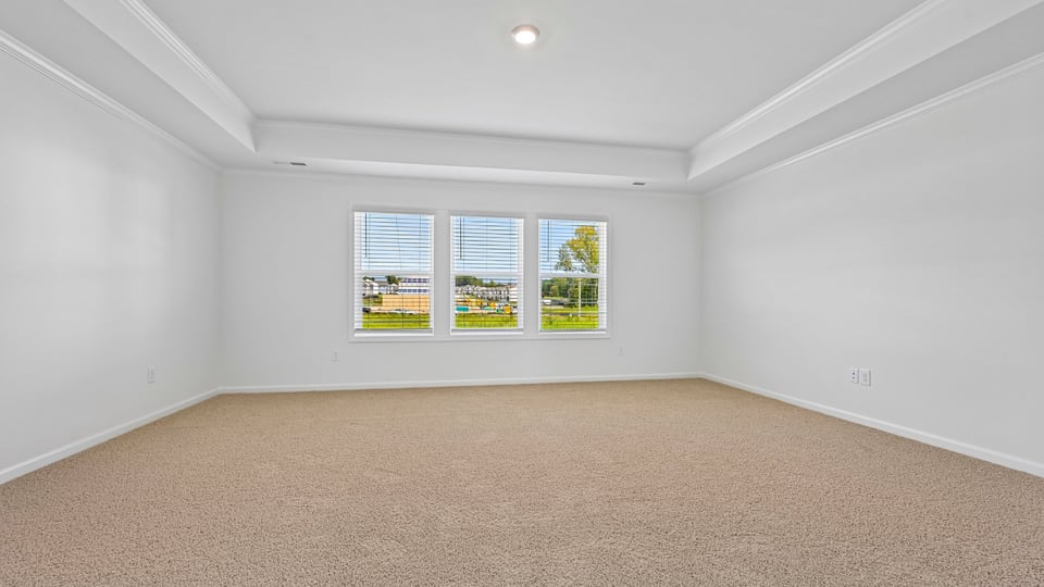 primary bedroom with carpet flooring and tray ceiling