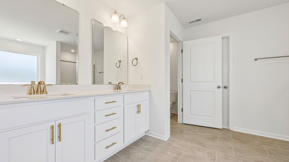 primary bathroom with dual vanity