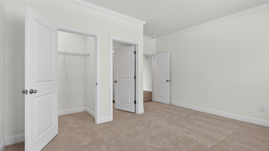 first floor bedroom with walkin closet and carpet flooring