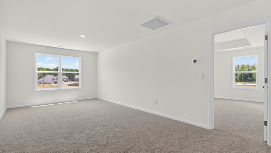 loft with carpet flooring