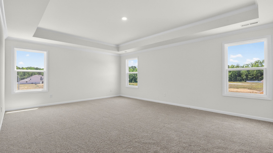 primary bedroom with tray ceiling
