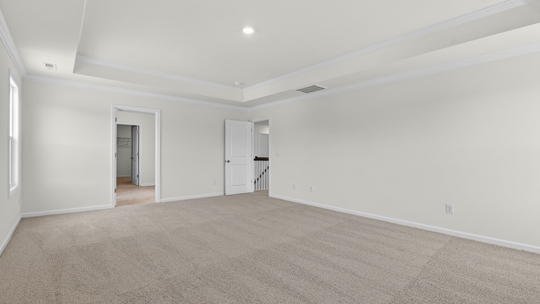 primary bedroom with tray ceiling