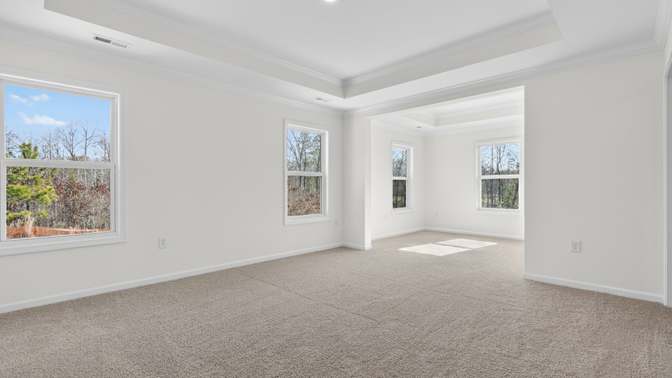 primary bedroom with carpet flooring and tray ceiling