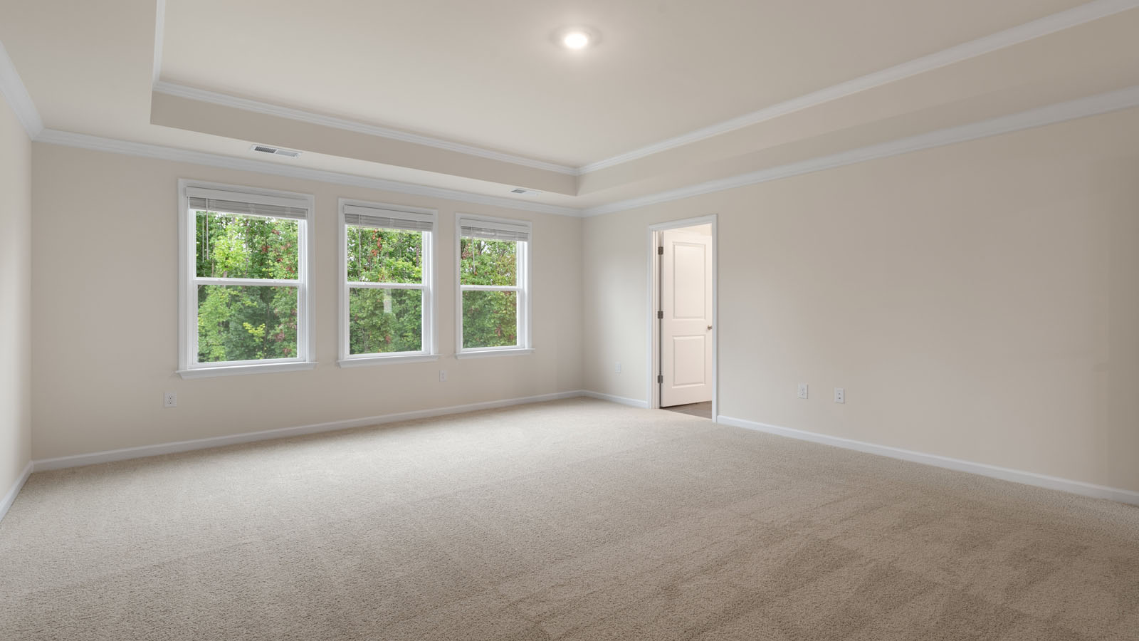 Primary bedroom with carpet flooring