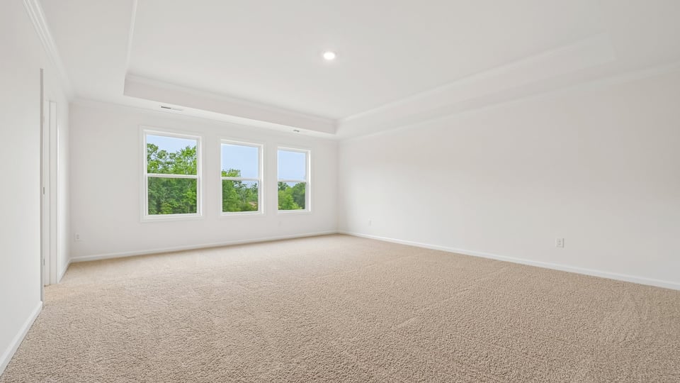 primary bedroom with tray ceiling and carpet flooring