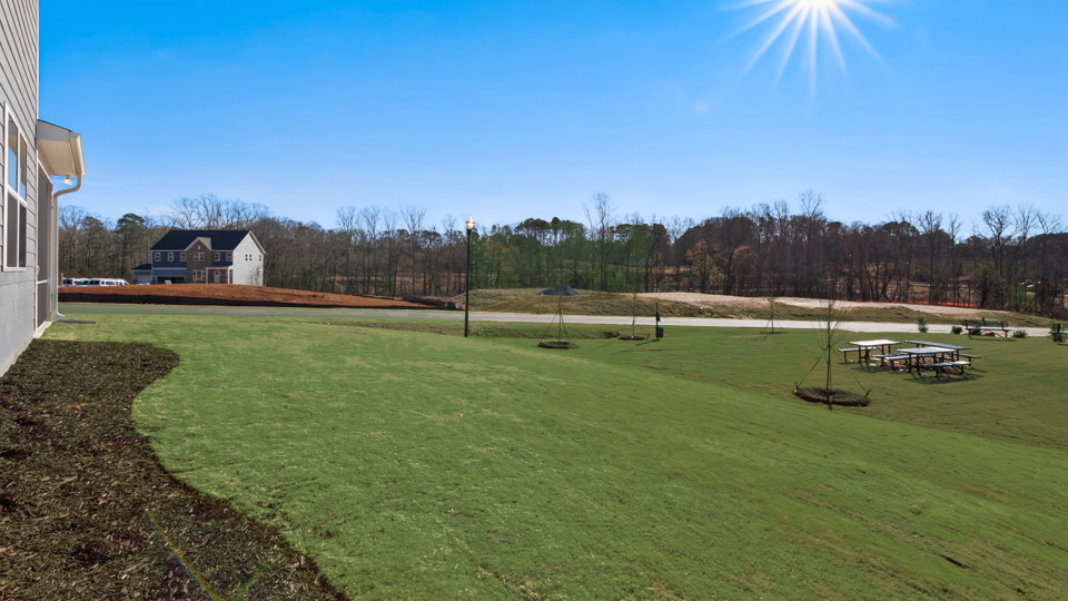 spacious backyard