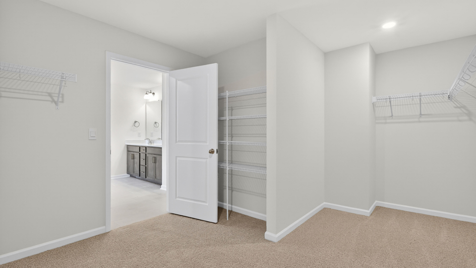 walk in closet with wire shelving
