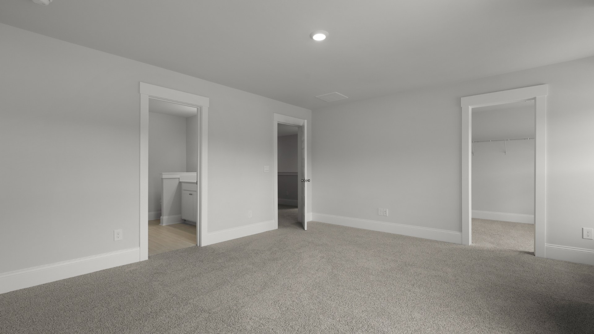 Primary bedroom with walk-in closet