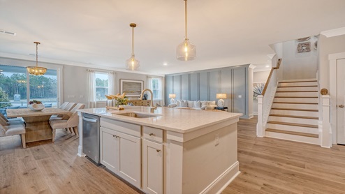 Sheep Island New Home Construction Luxury Beautiful Summerville Single Family Affordable Privacy Amenities Family Perfect DR Horton D.R. Horton