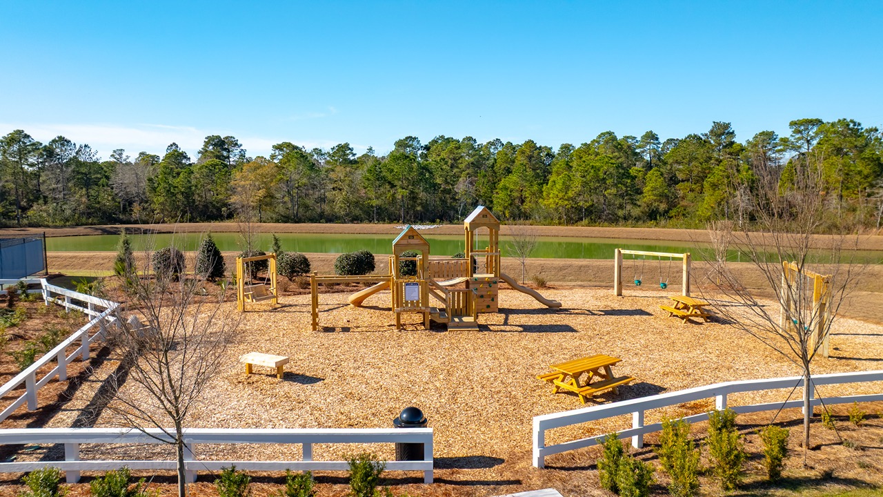 dog park