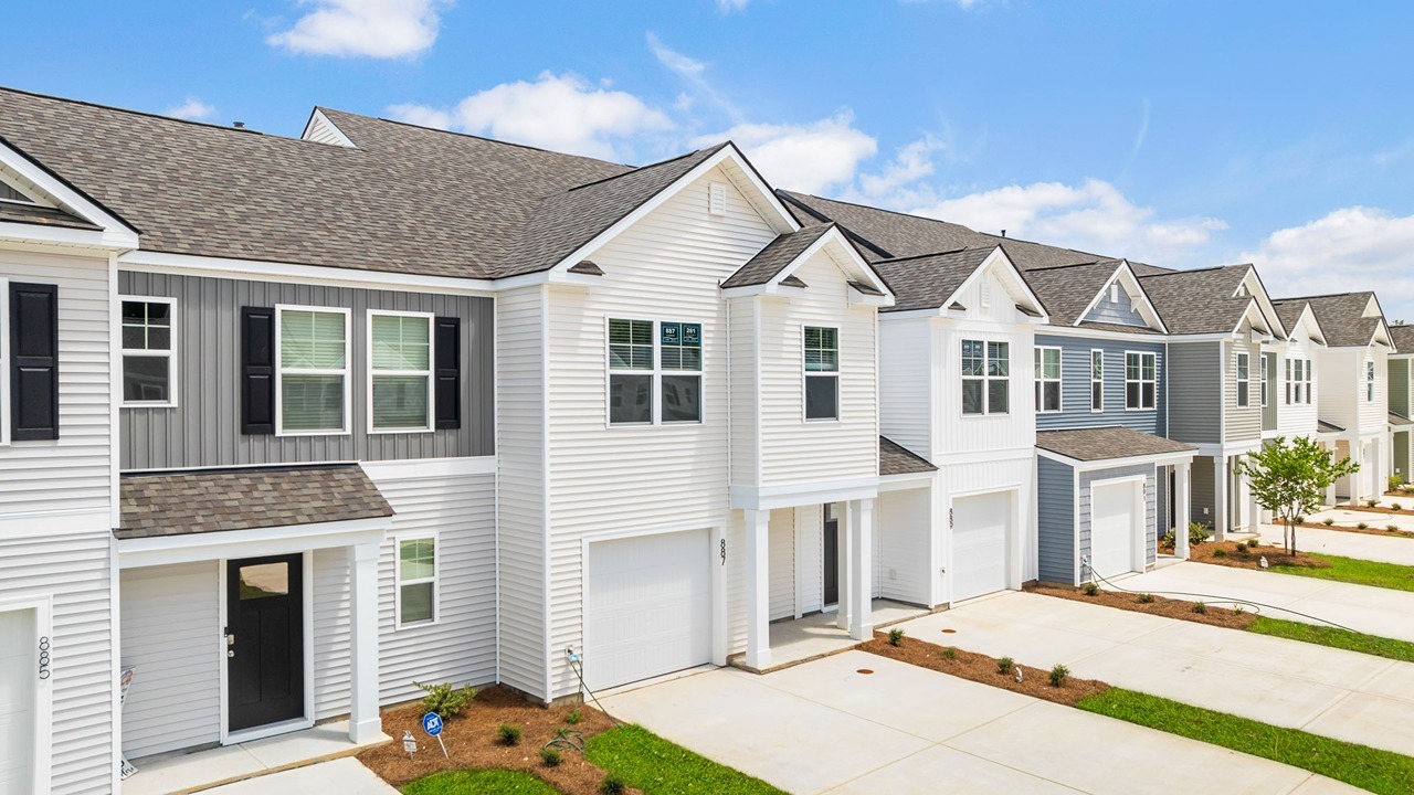 side angle of pine hills