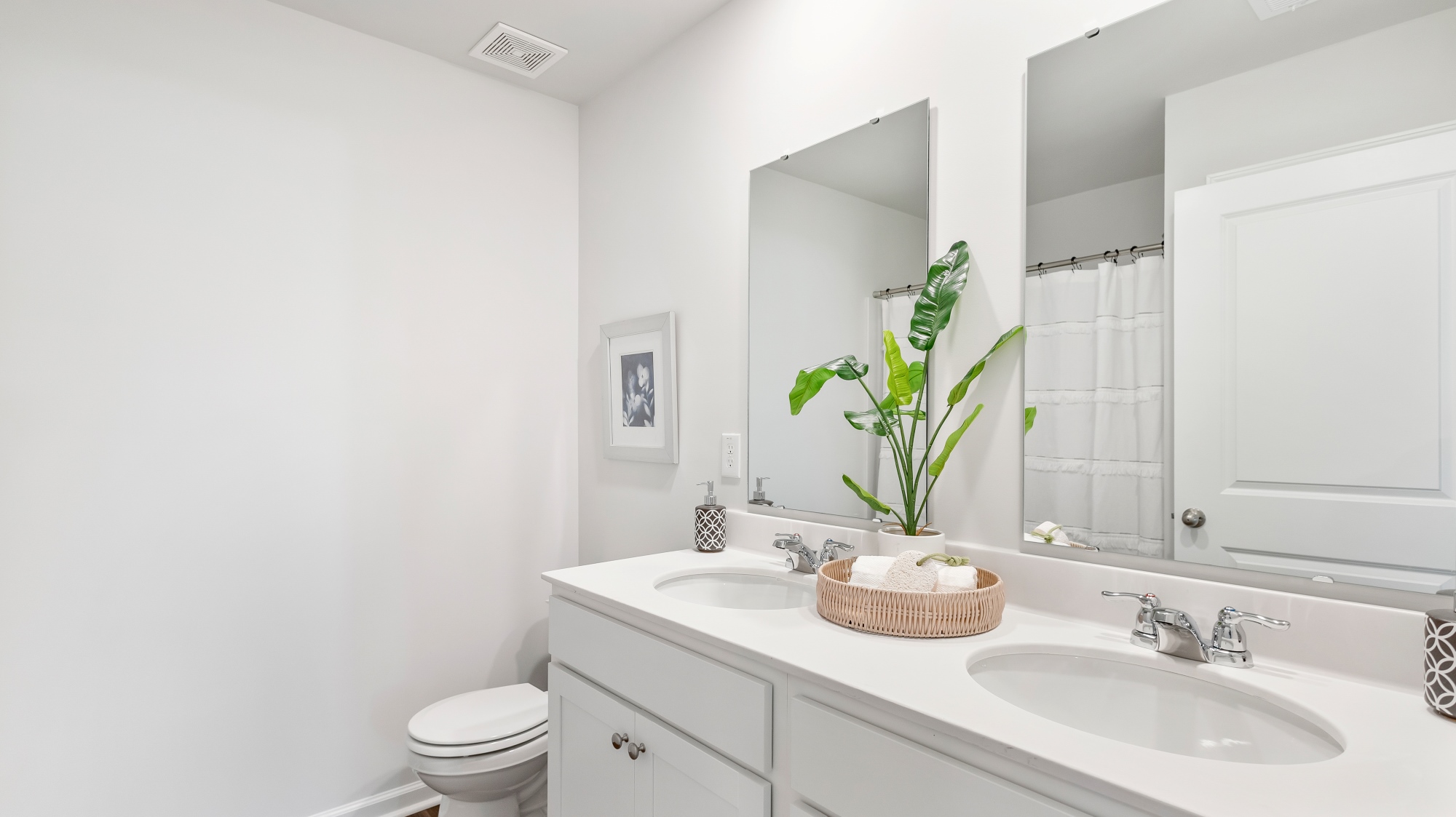 Guest bathroom