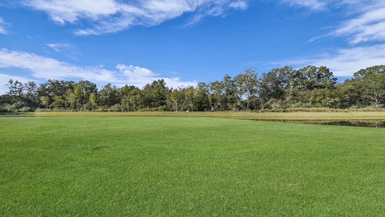 6229 Gritman Drive, Hollywood, South Carolina 29449