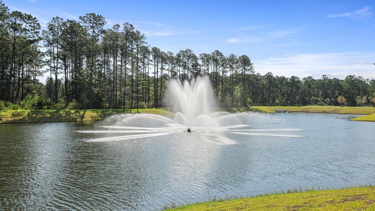 pond with fountain