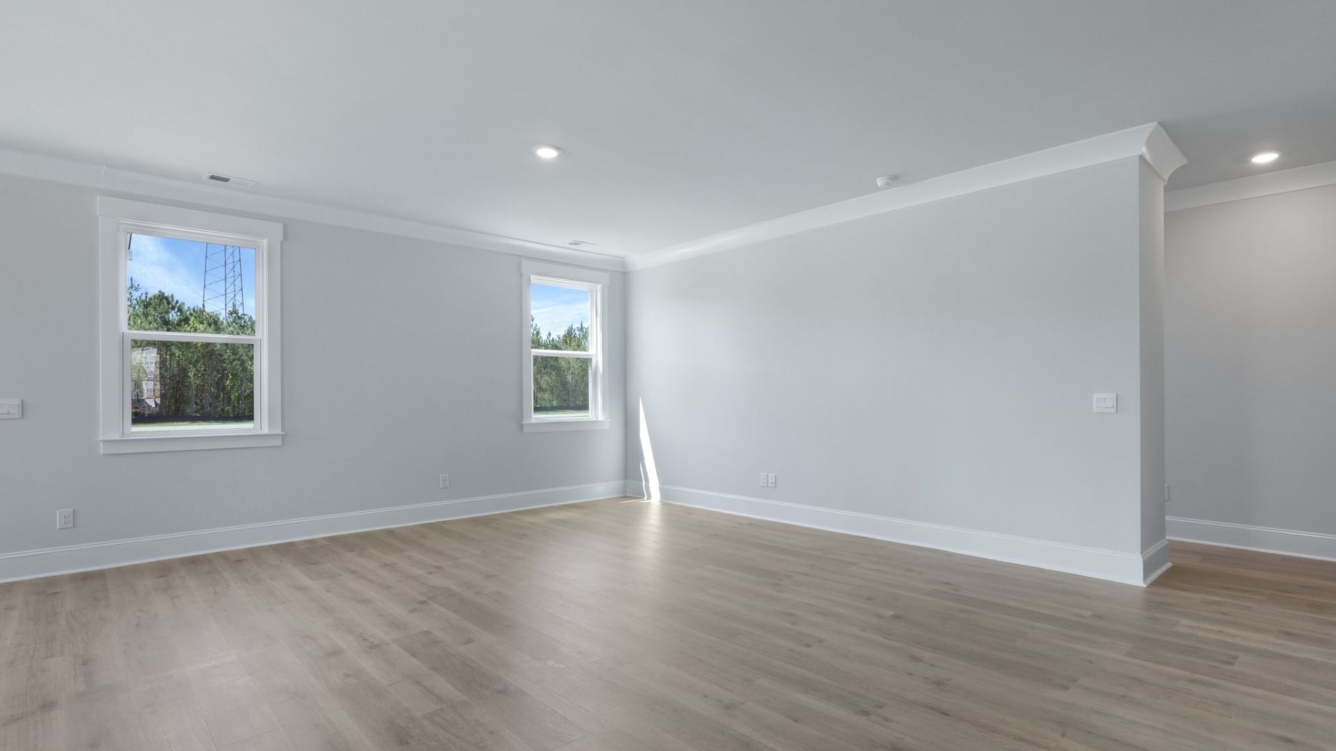 The living room feature two windows for natural lighting.