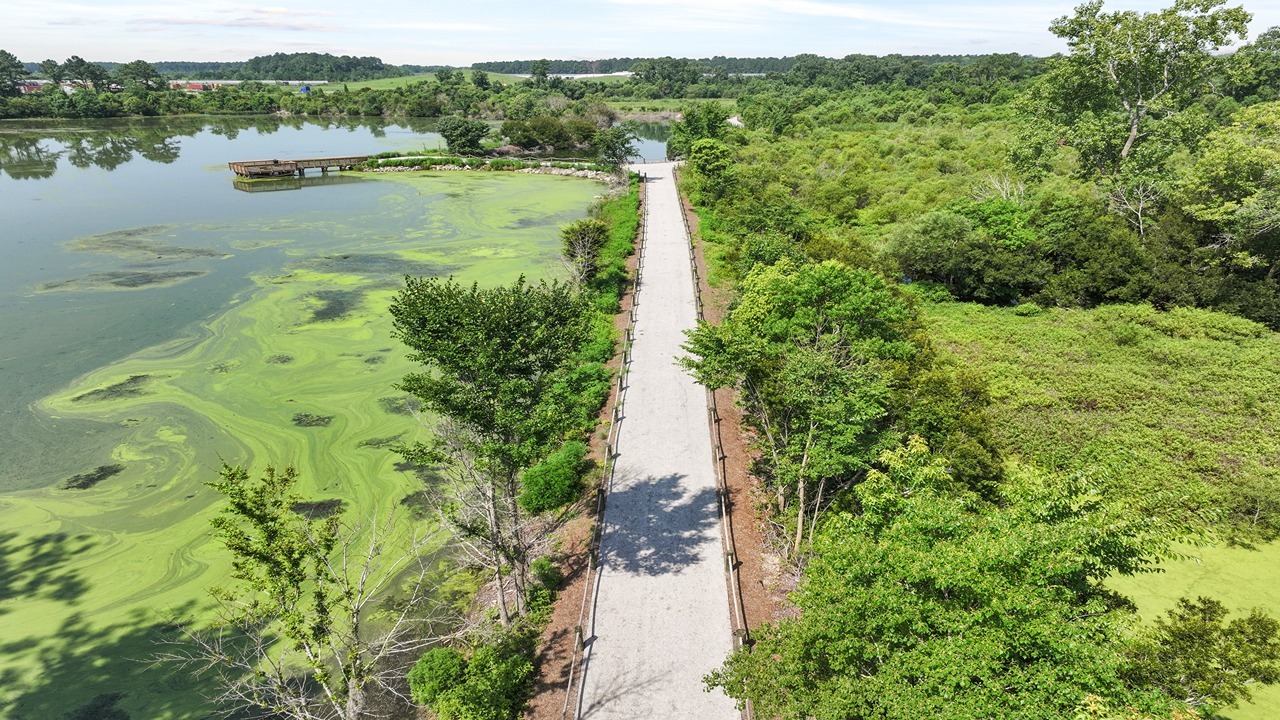 fishing pier walkway
