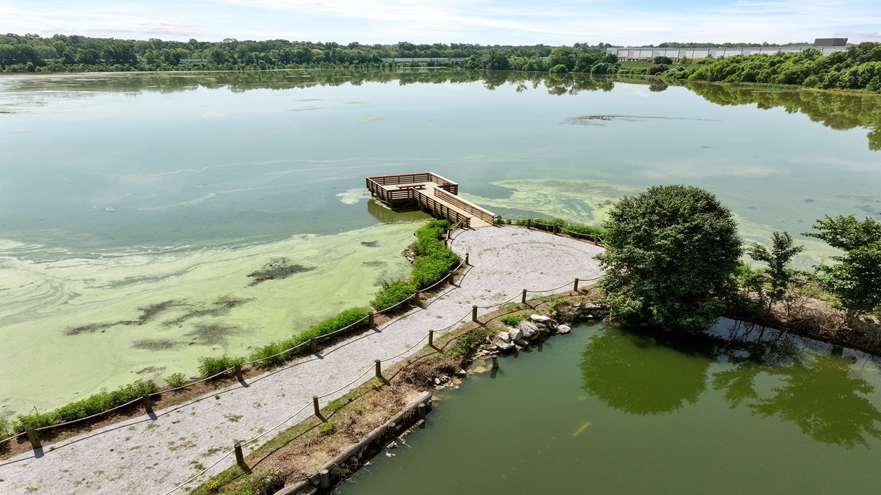 Community fishing dock