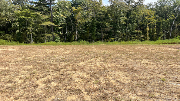 New homes in Carolina Groves, Customize your home in Moncks Corner