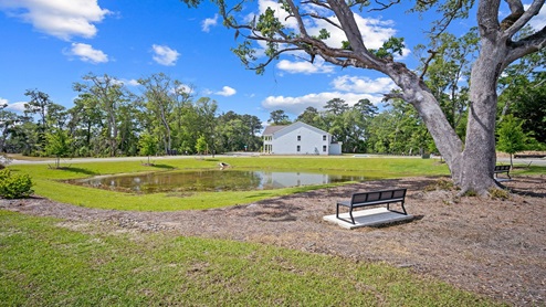 Pond and bench next to 46 Backwater