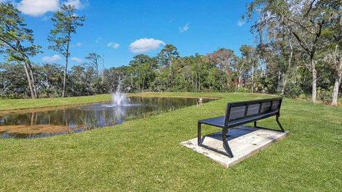 Bench overlooking peaceful pond