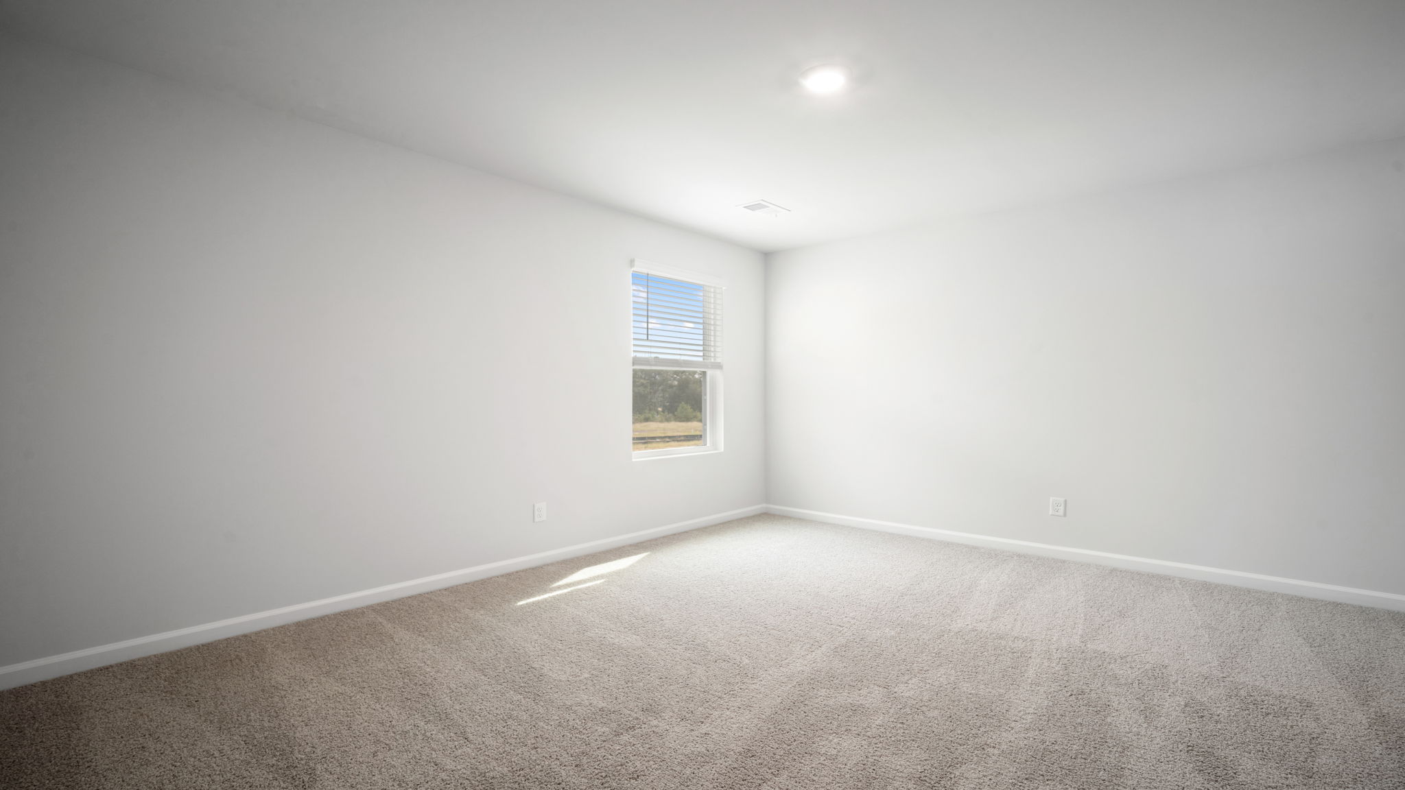 Bedroom with carpeted floors and large single window for natural light.