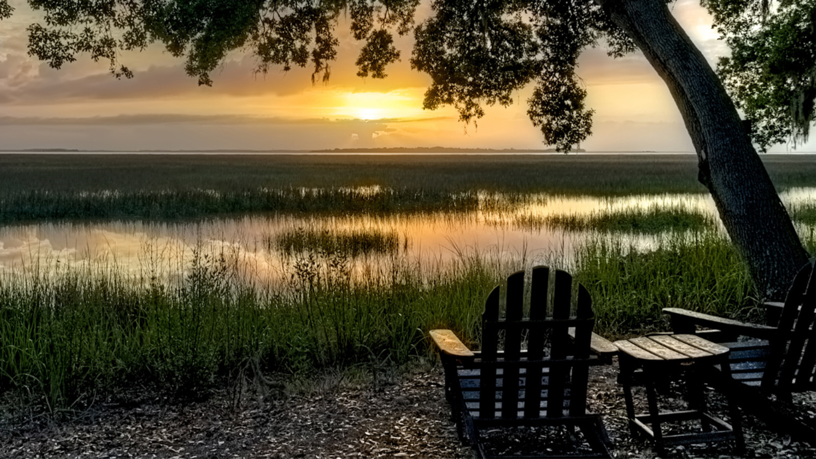 lowcountry views