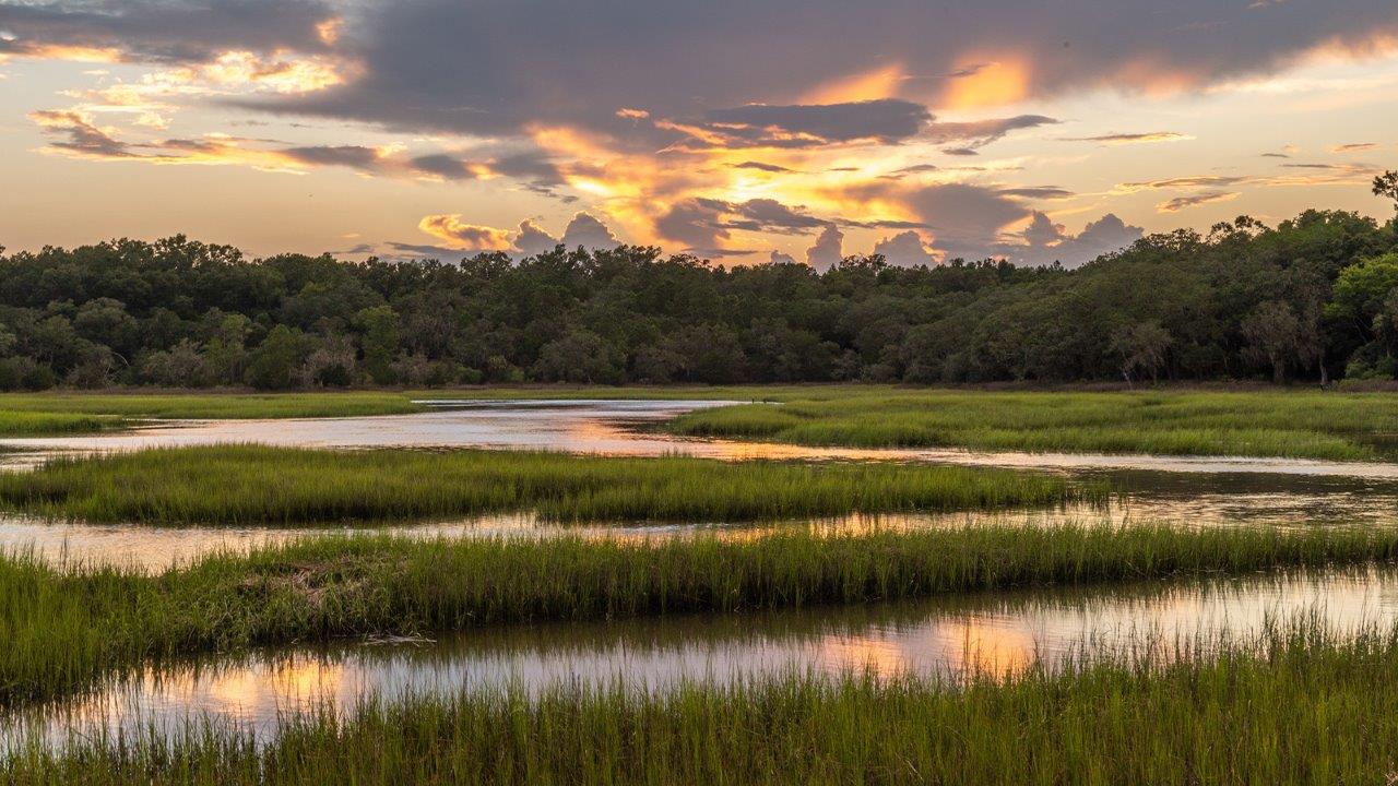 marsh views