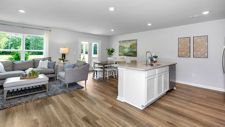 Kitchen island view of the living area