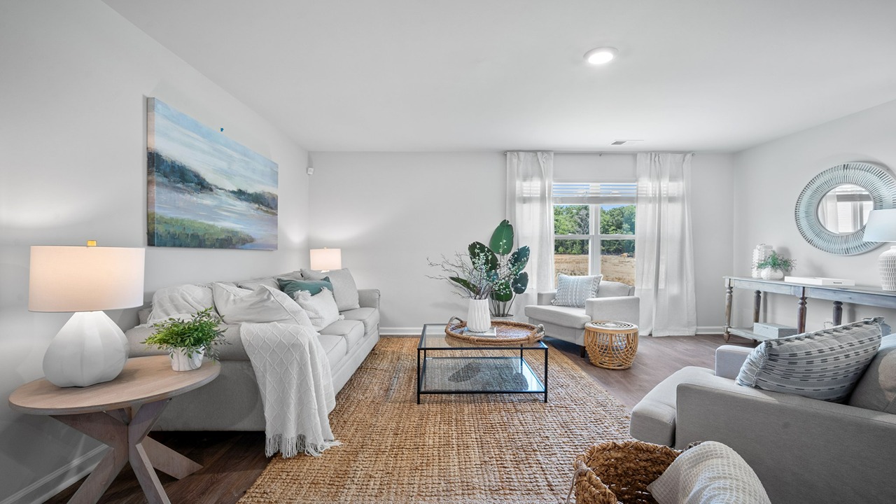 LIVING ROOM WITH NATURAL LIGHT