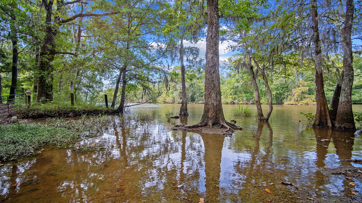 Cypress Landing Hardeeville, SC Water