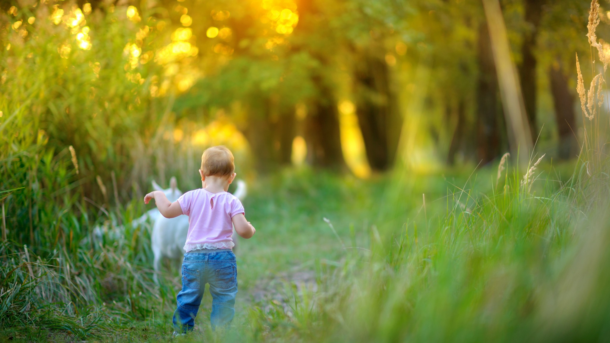 child exploring a scenic nature trail surrounded by lush greenery near Cypress Landing in Hardeeville, reflecting the community's connection to outdoor living