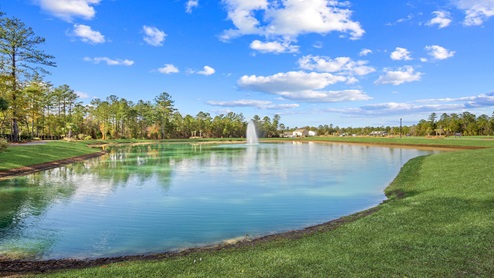 Landscape and pond