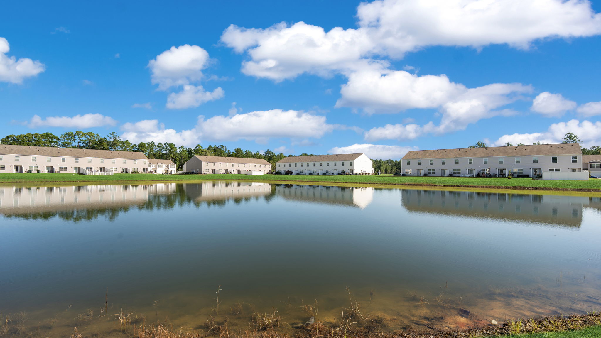 Community pond with surrounding homes in The Pines at New Hampstead.