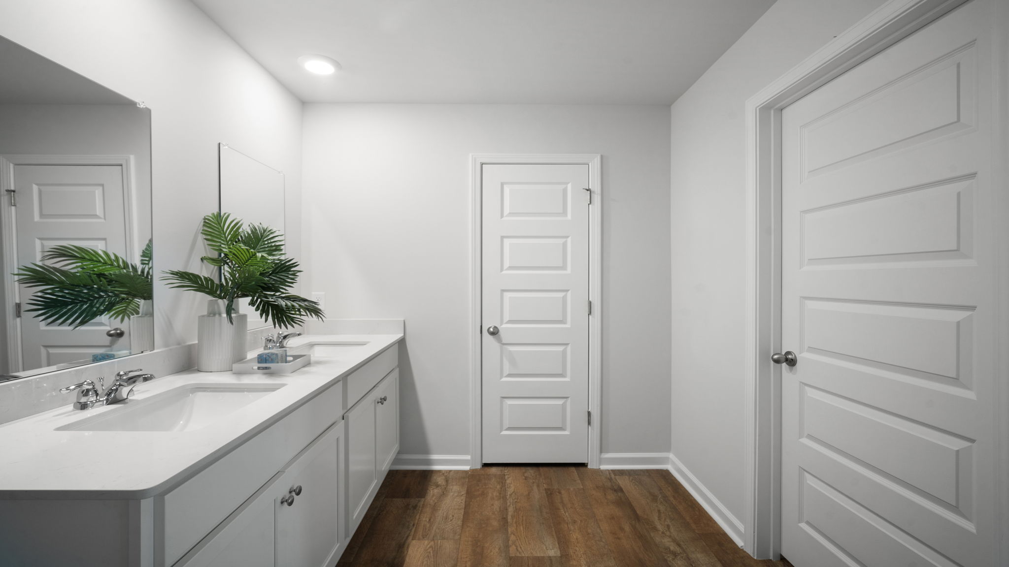 Primary bathroom with vanity and fixtures.