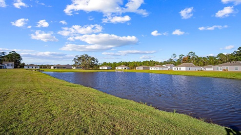 Pond and landscape