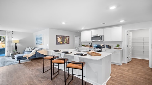 Kitchen and living area