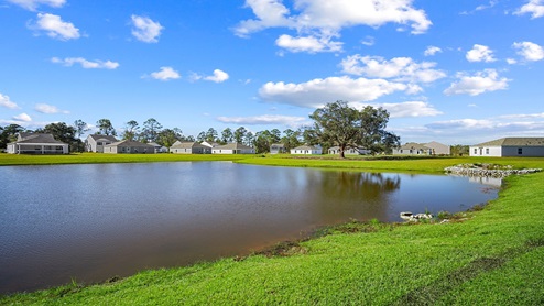 Landscape and pond