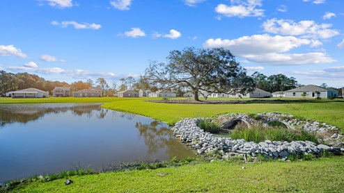 Landscape and pond