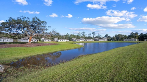 pond and landscape