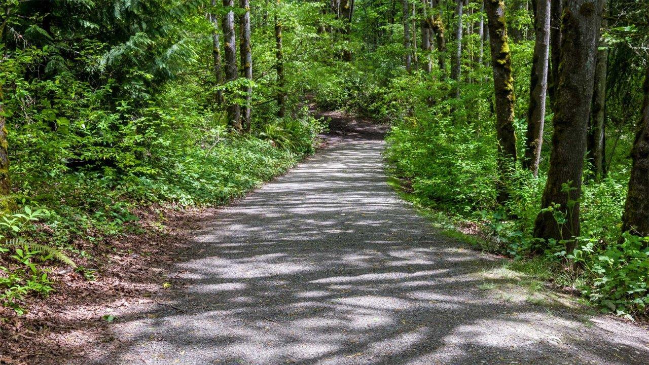 Beautiful S&S Walking Trail