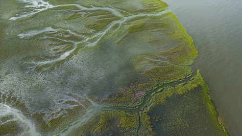 Altama Brunswick Georgia Marshes Golden Isles