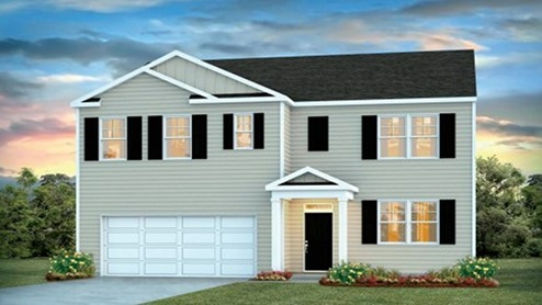 Hayden model