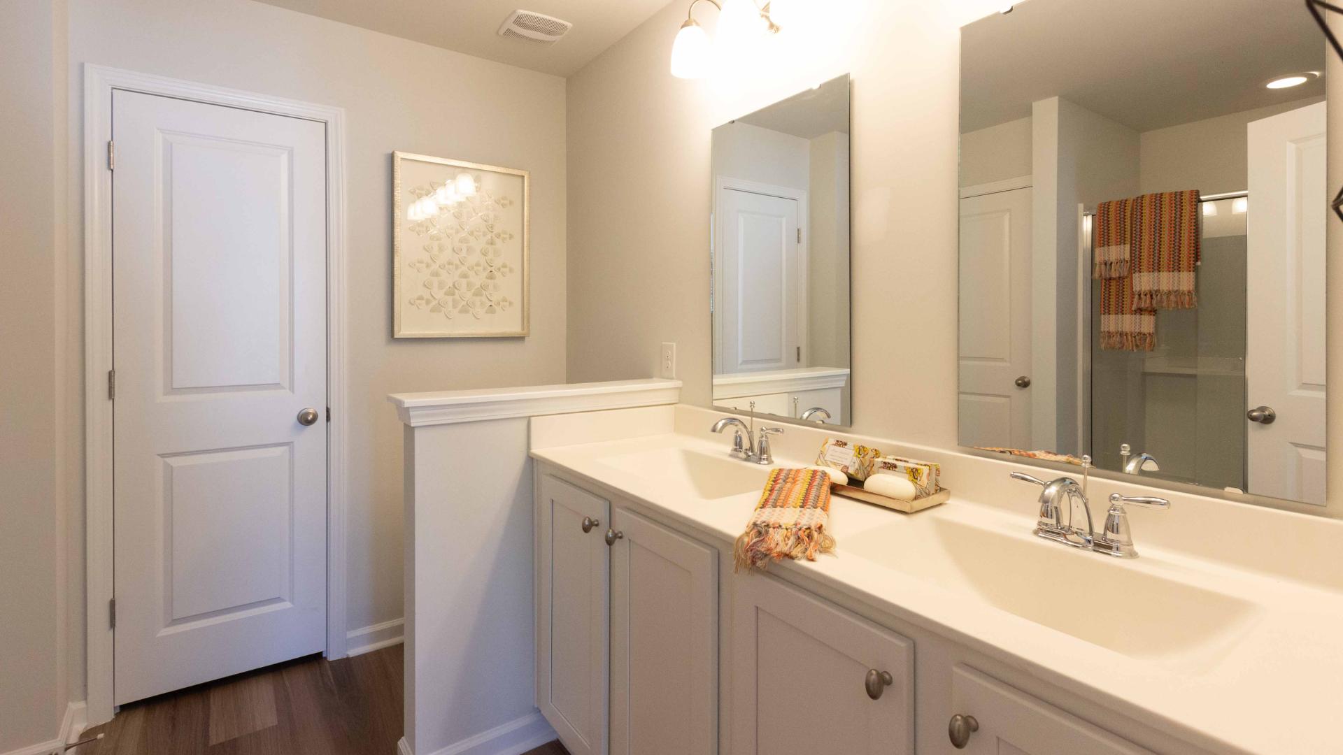 Primary Bathroom vanity with double sinks and large mirror.