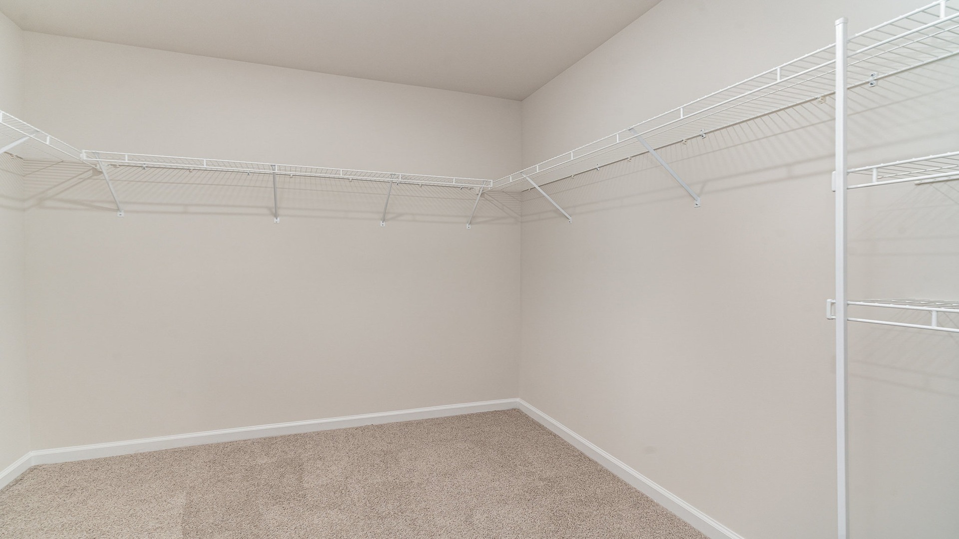 walk in closet with wire shelving