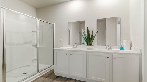 Primary bathroom