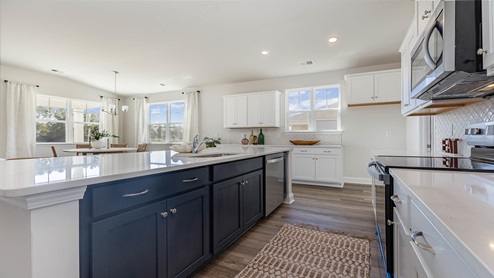 Kitchen with navy cabinets